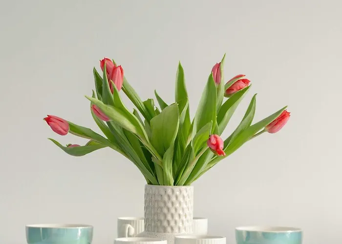 Apartment Przytulny I Jasny W Kolobrzegu By Renters